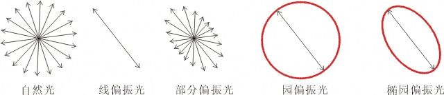 什么是偏振光？偏振光是如何完成檢測的？