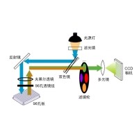 什么是熒光定量PCR、數(shù)字PCR？