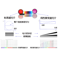 線性漸變?yōu)V光片是什么？有何特點(diǎn)？